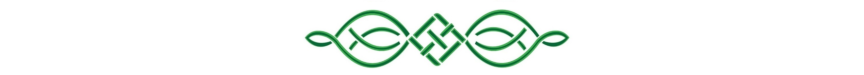 Celtic Student Travel